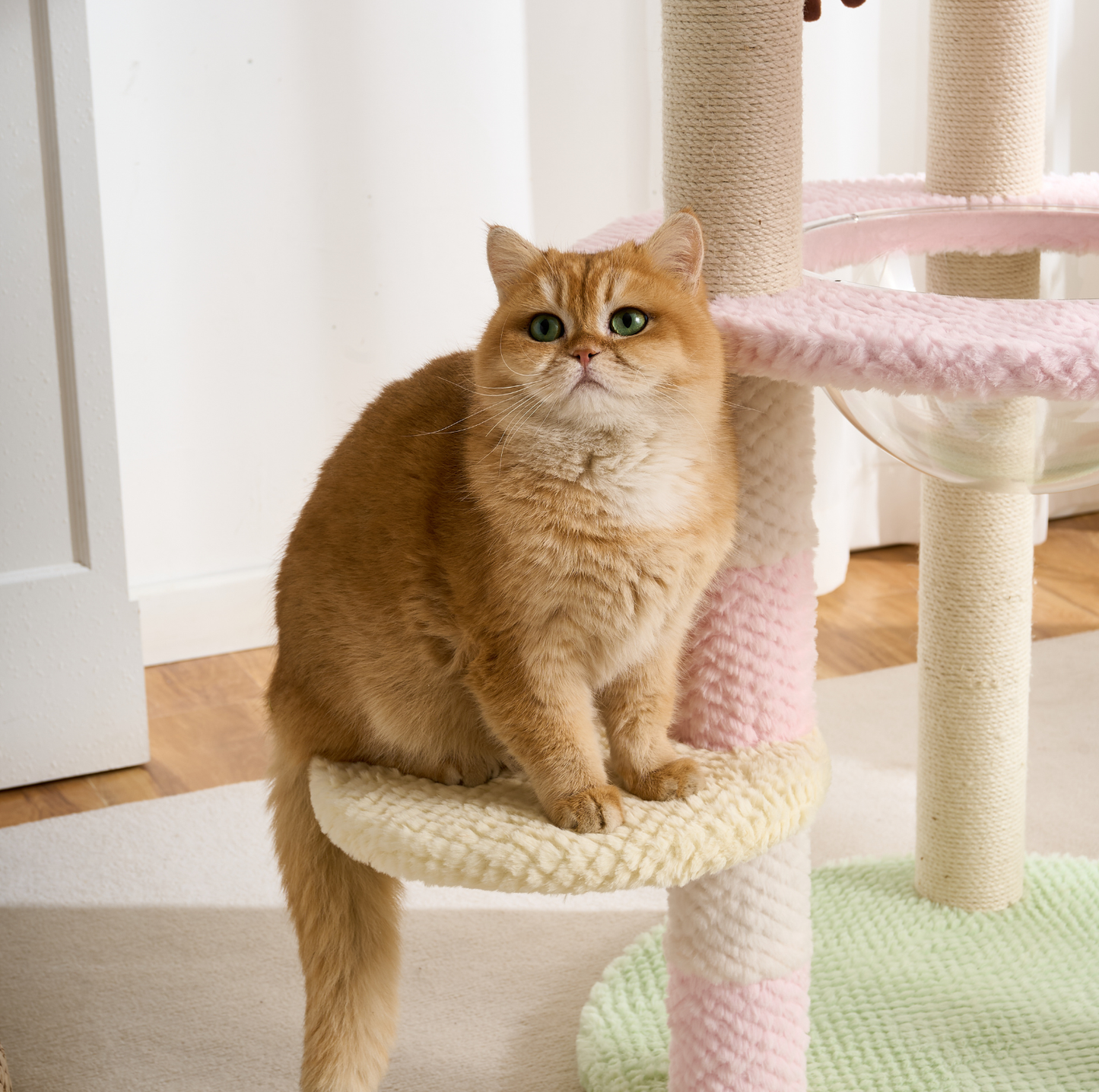 Blush Bloom Multi-Platform Cat Tree
