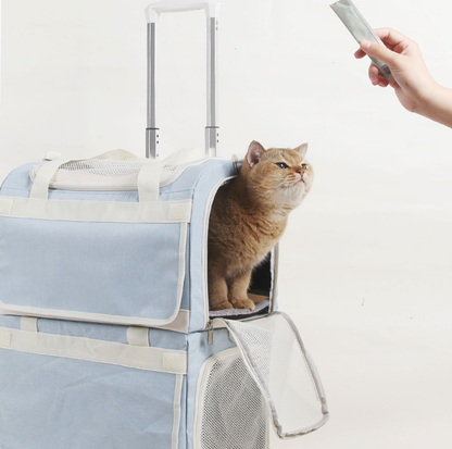 Double-Decker Detachable Pet Carrier Stroller