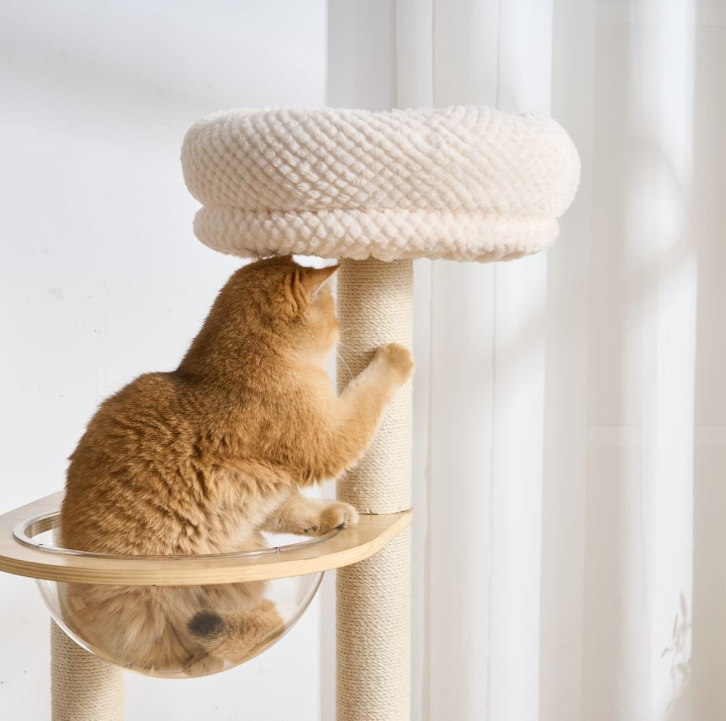 Natural wood Cat Tree with Acrylic Bowl and Double Condo – 134 cm