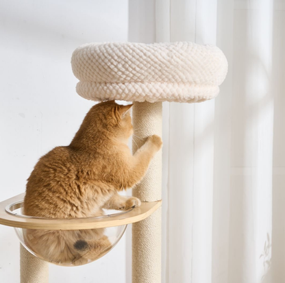 Natural wood Cat Tree with Acrylic Bowl and Double Condo – 134 cm