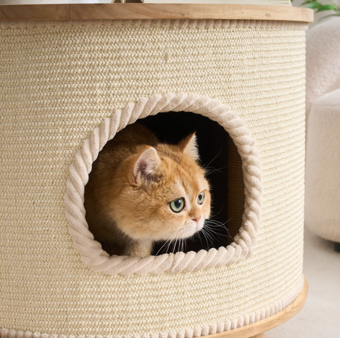 Multifunctional Woven Sisal Cat House – Side Table or Stool