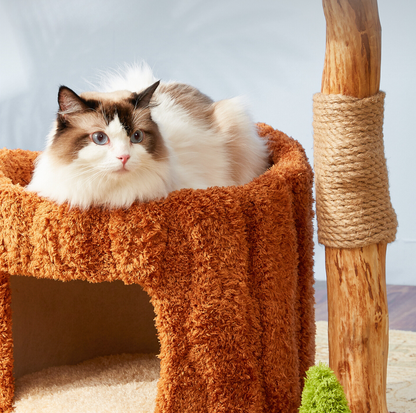 Cmisstree Tree Hollow Solid Wood Cat Tree