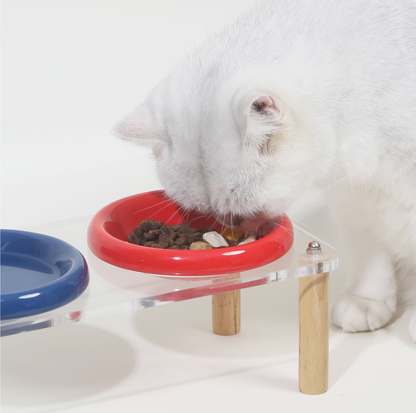 Pop Colour Ceramic Pet Bowl with Elevated Acrylic or Wooden Stand