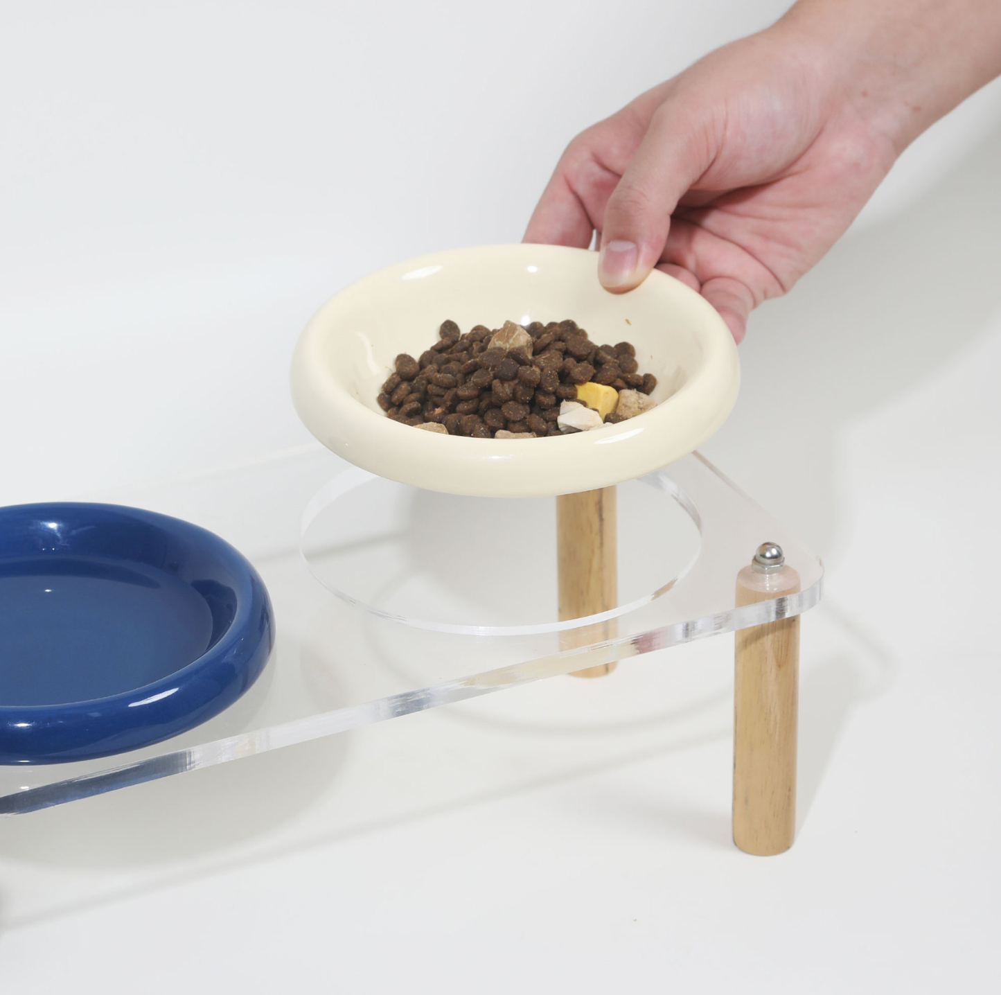 Pop Colour Ceramic Pet Bowl with Elevated Acrylic or Wooden Stand