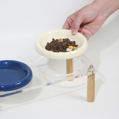 Pop Colour Ceramic Pet Bowl with Elevated Acrylic or Wooden Stand