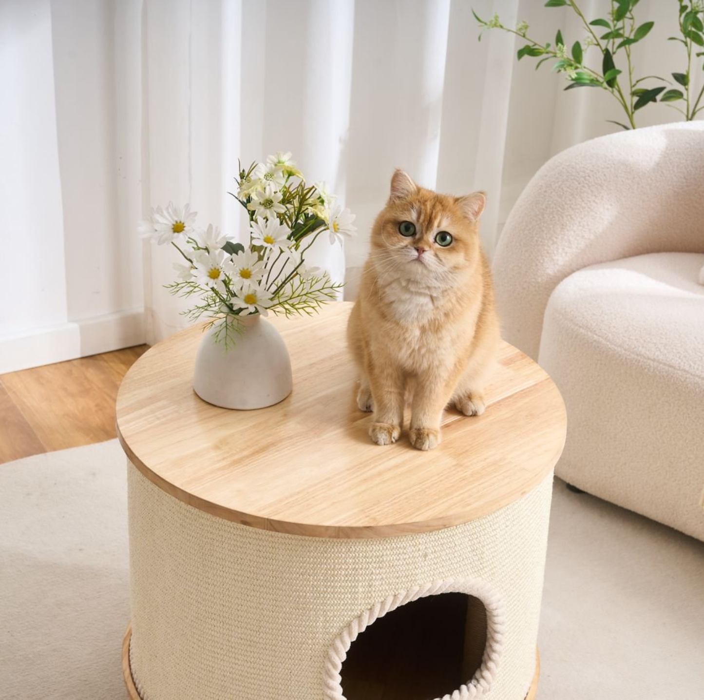 Multifunctional Woven Sisal Cat House – Side Table or Stool