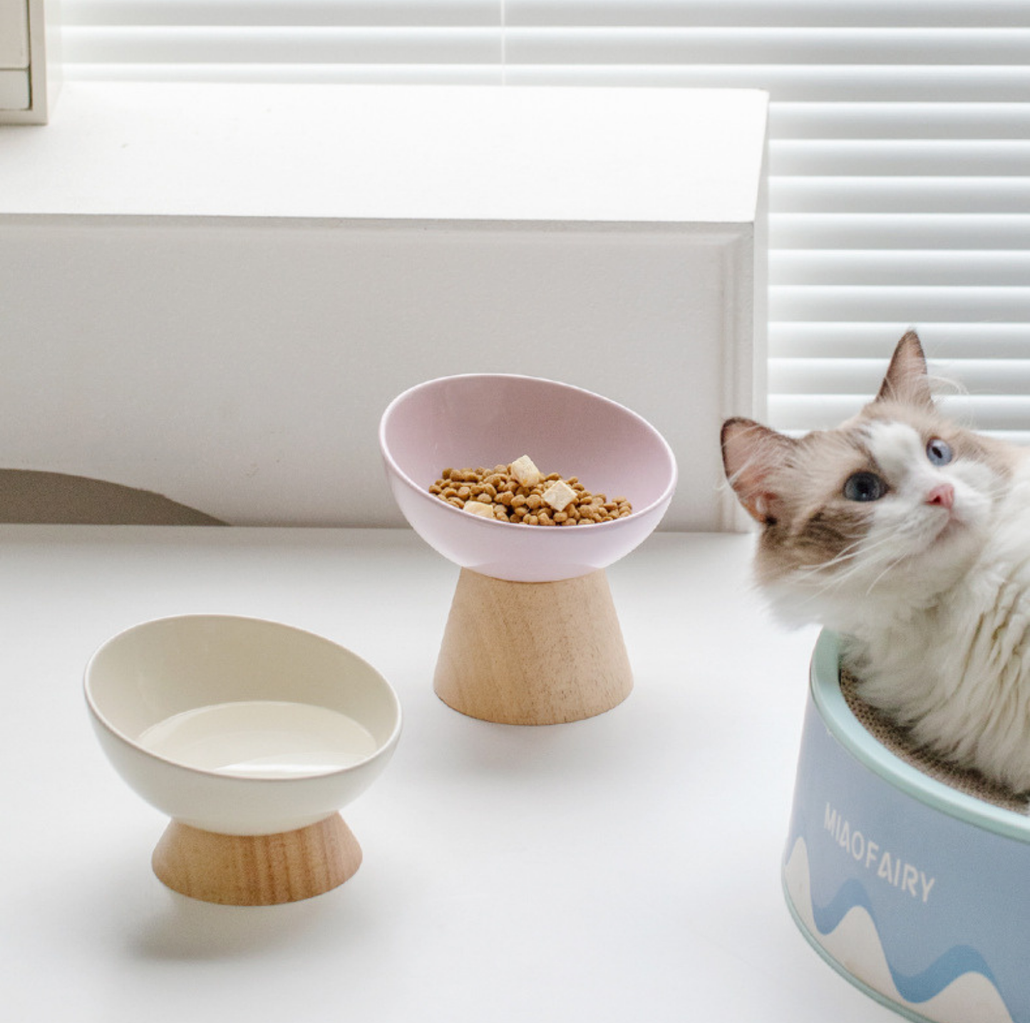 Elevated Round Ceramic Pet Bowl with Oak Base
