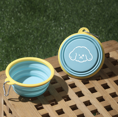 Cartoon Collapsible Travel Pet Bowl with Carabiner