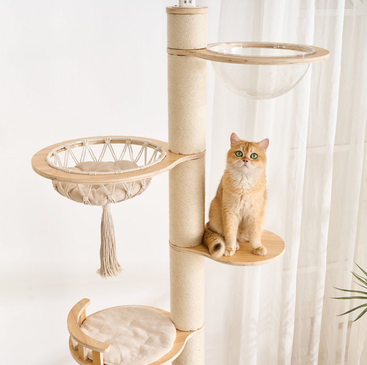 Adjustable Ceiling-Mounted Wooden Cat Tree - V01 (250-300cm)