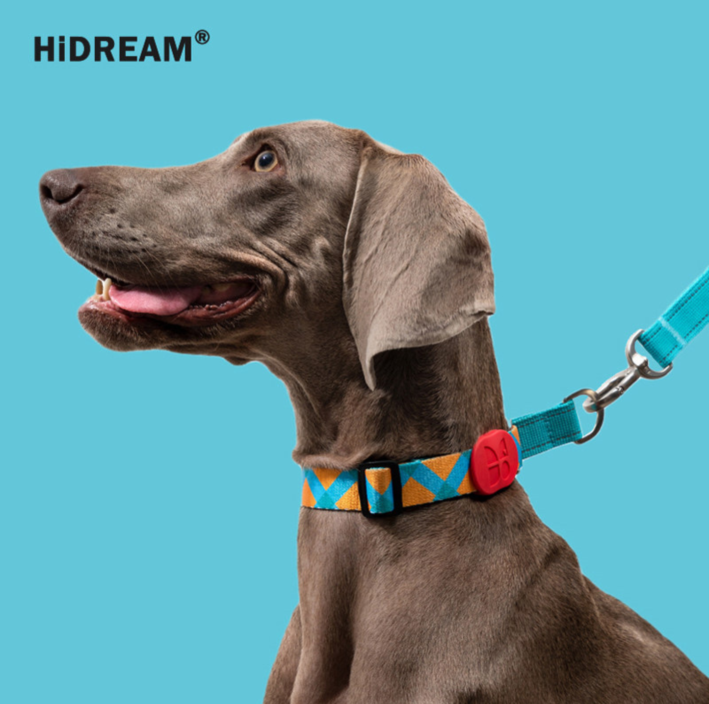 HIDREAM Colourful Dog Collar + Leash Set Adjustable Everyday Walking Set
