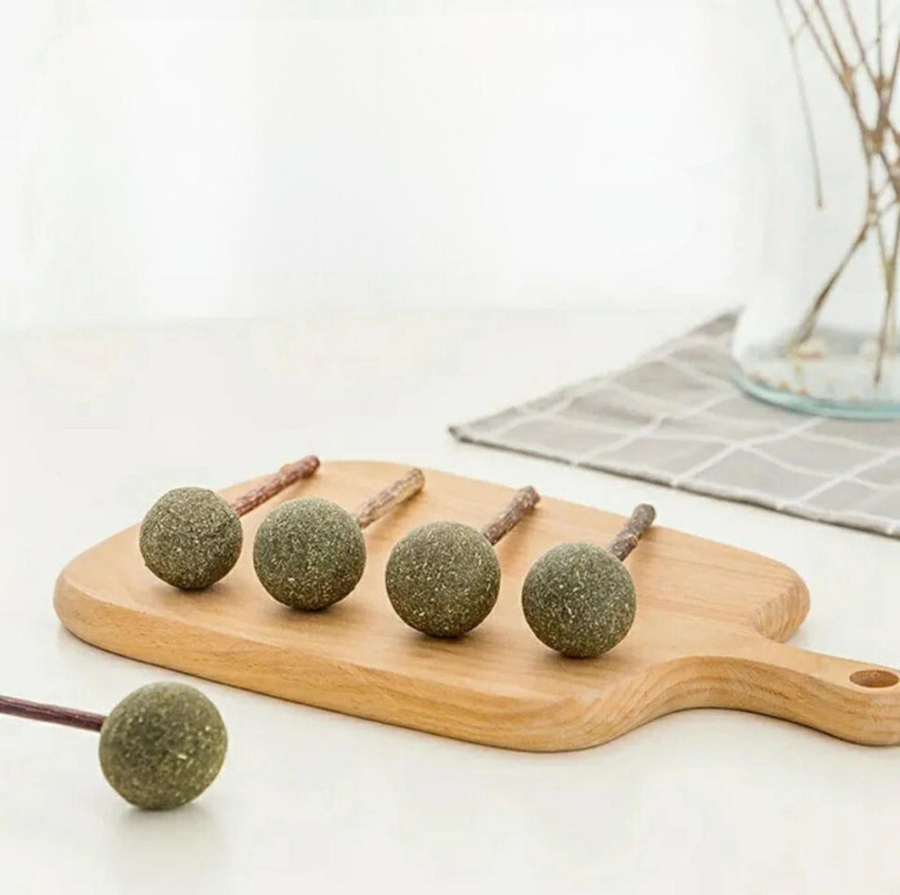 Lollipop Catnip Cat Toys with Polygonum Vine PawPawUp