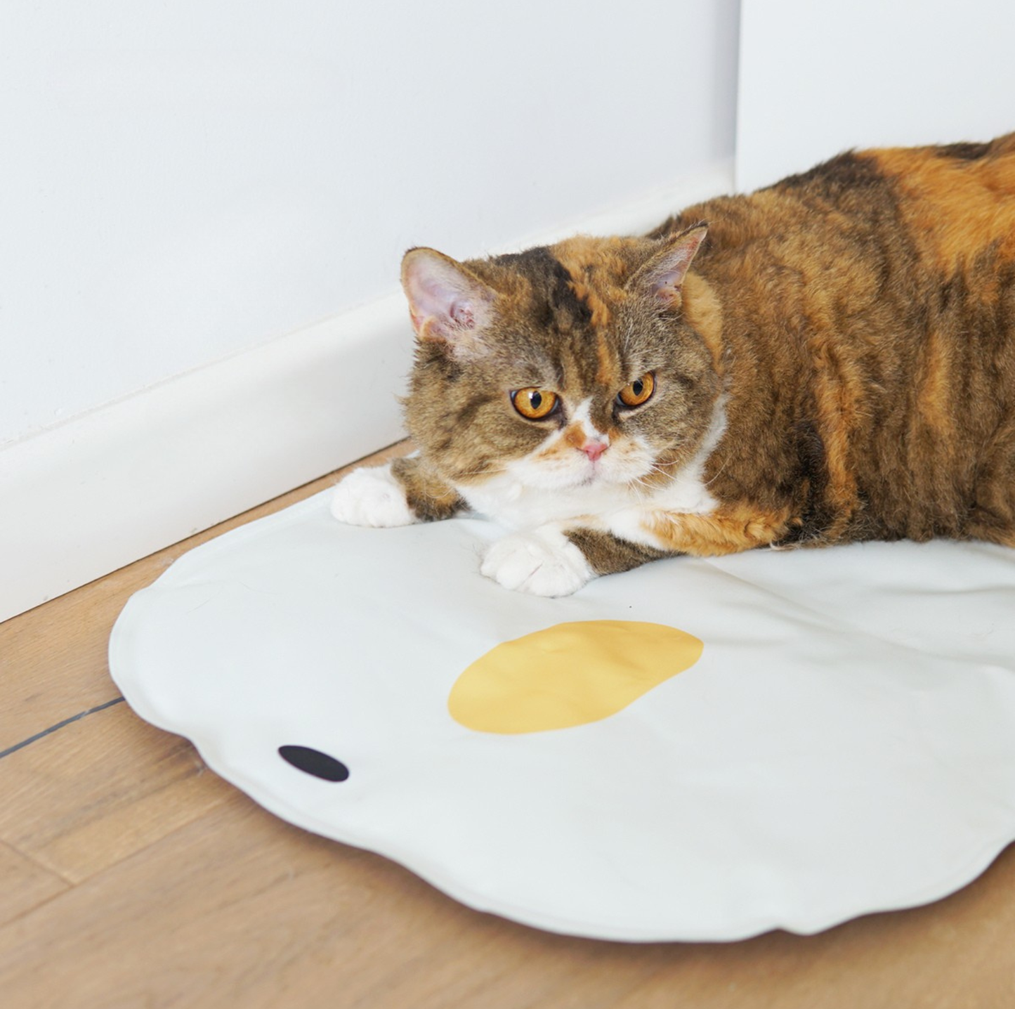 Purroom Little Chicken Series – Pet Cooling Mat