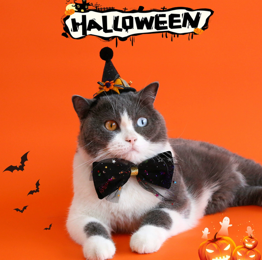 Halloween Witch Hat & Velvet Bow Tie Set for Cats and Small Dogs