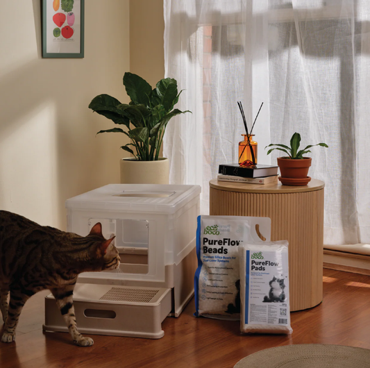 Ecoboco Pure Flow Double-Layer Cat Litter Box and Cat Litter System