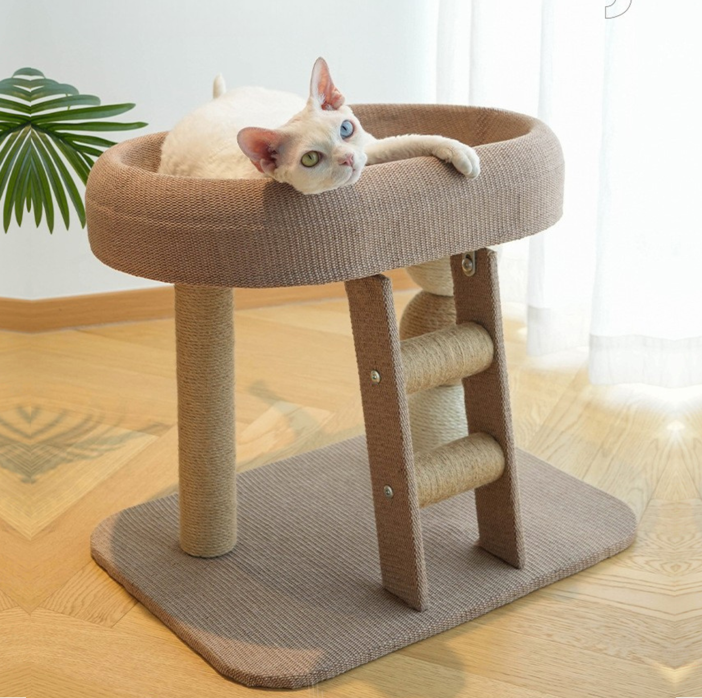 Small Ladder Cat Climber with Oval Resting Nest