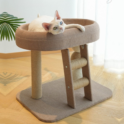 Small Ladder Cat Climber with Oval Resting Nest