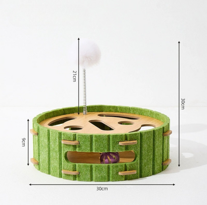 Cat Teasing & Puzzle Play Box