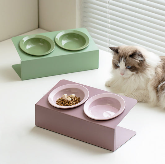 Ceramic Double Pet Bowl with Tilted Iron Stand