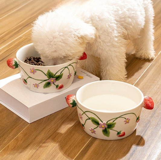 Strawberry Style Ceramic Pet Bowl