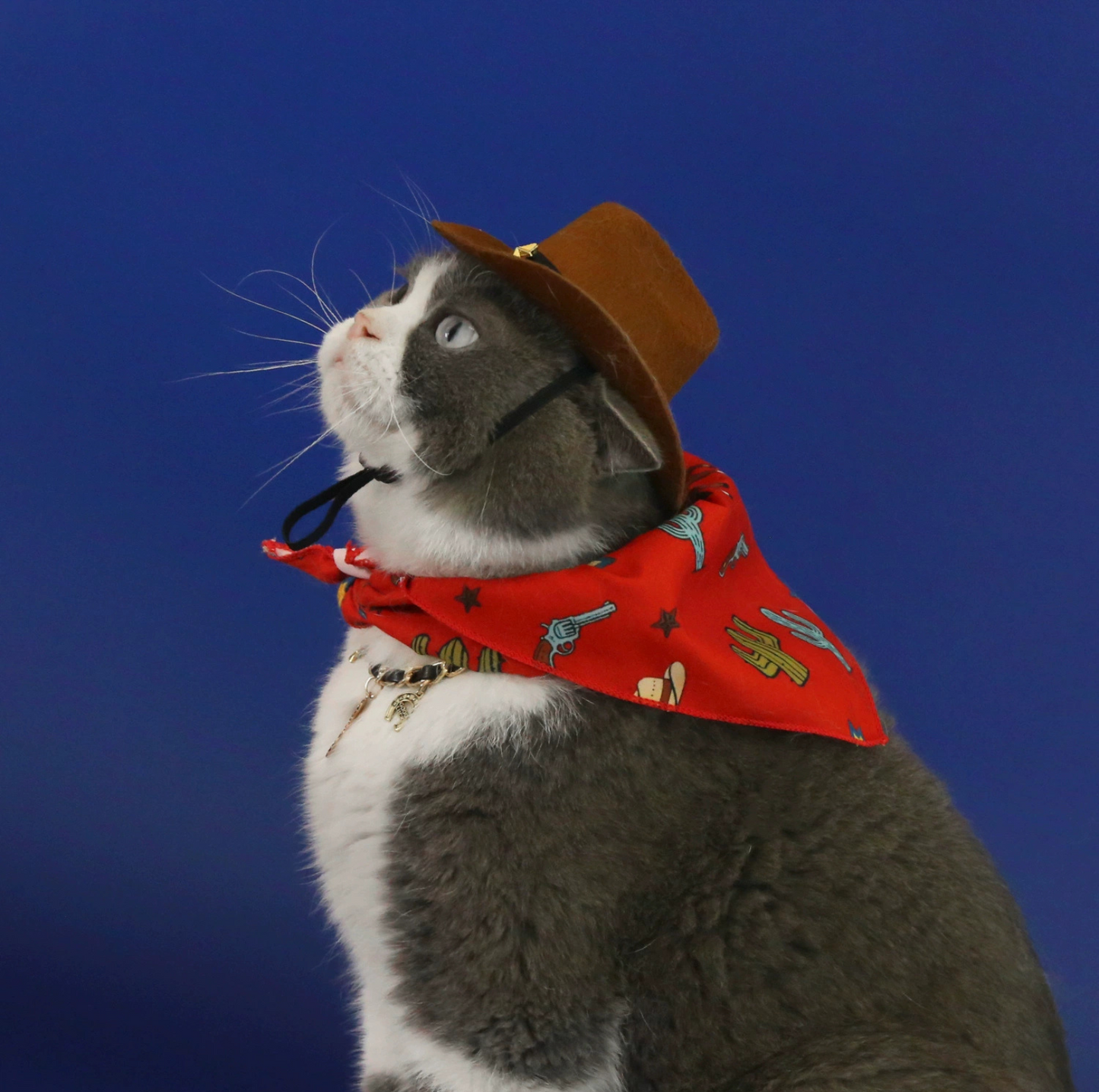 Western Cowboy Pet Hat & Bandana Set