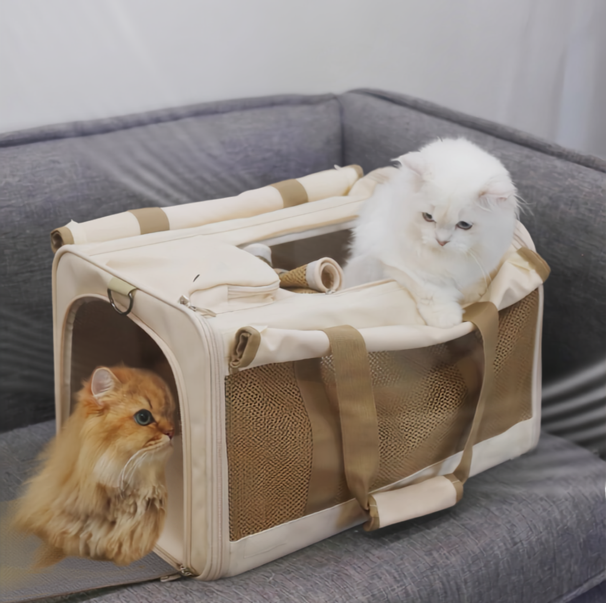 Large Foldable Mesh Pet Carrier with Roll-Up Covers - Up to 10kg