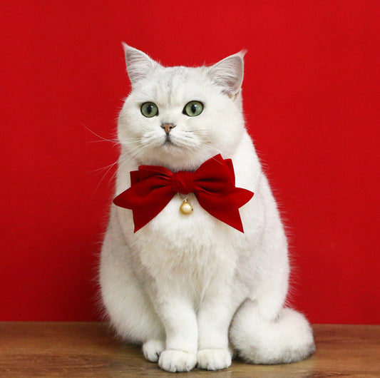 Velvet Bowtie Birthday Collar for Pets - Red with Bell
