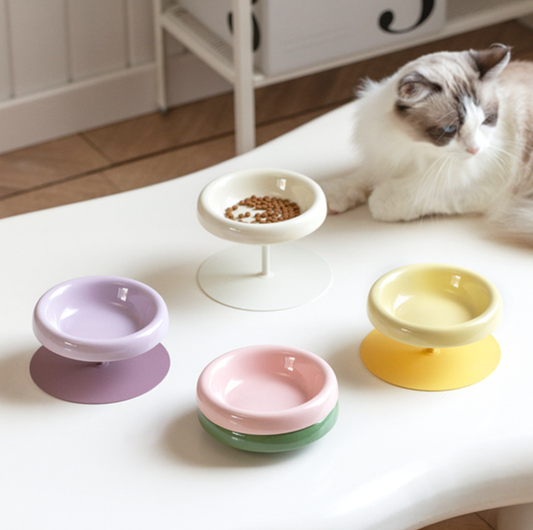 Aura Ceramic Pet Bowl with Metal Stand