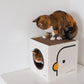 PURROOM Little Chicken Series: Square-Shaped Cat Scratcher House