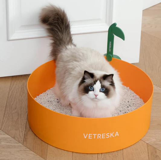Vetreska Orange Styled Round Shape Open Cat Litter Box