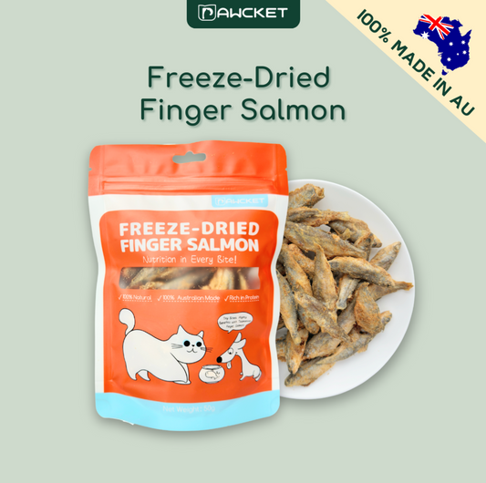 Freeze-Dried Finger Salmon Treat - 50g