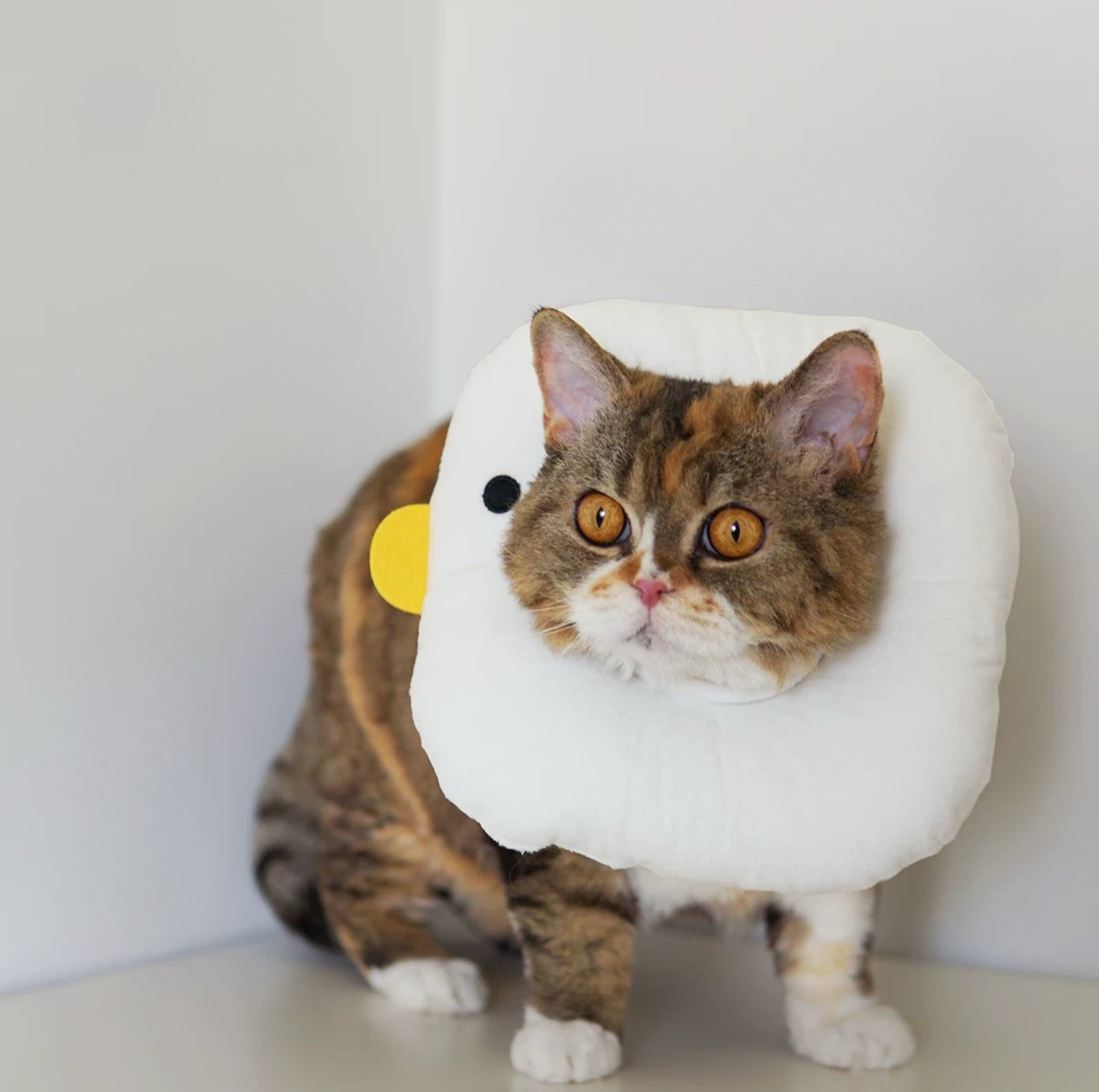 Purroom Chicken-Style Soft E-Collar