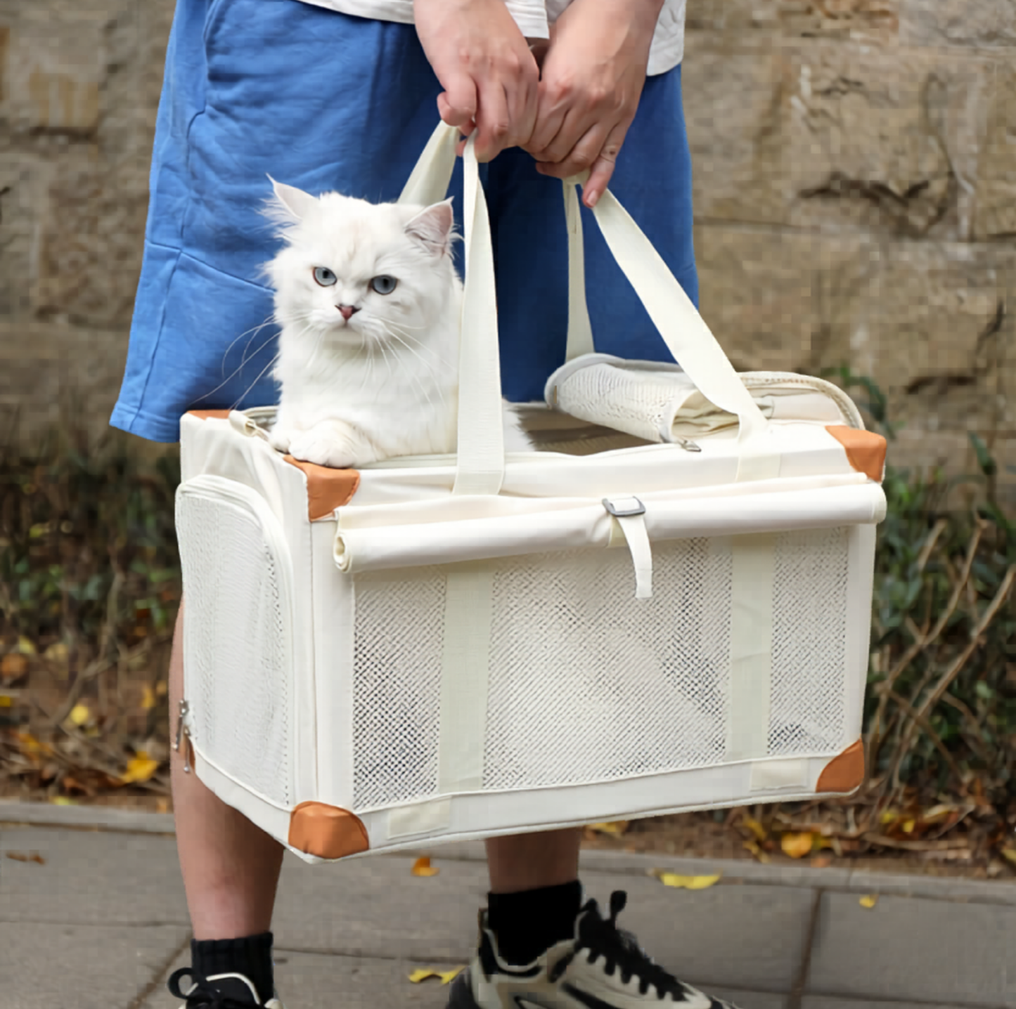 Oxford Boxy Pet Travel Tote Carrier for Cats & Small Dogs