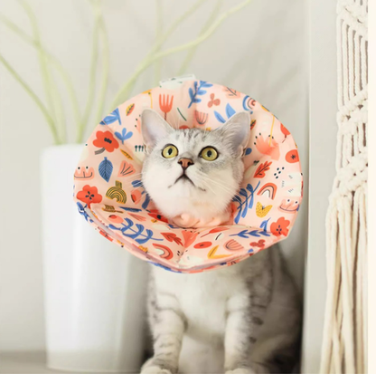 Soft Multi-Use E-Collar for Cats & Small Dogs