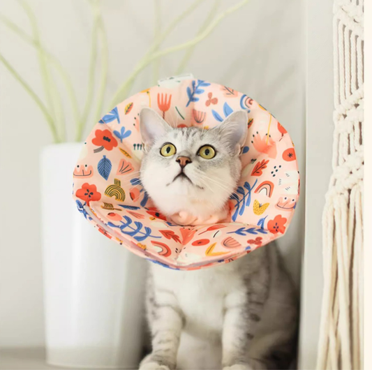 Soft Multi-Use E-Collar for Cats & Small Dogs