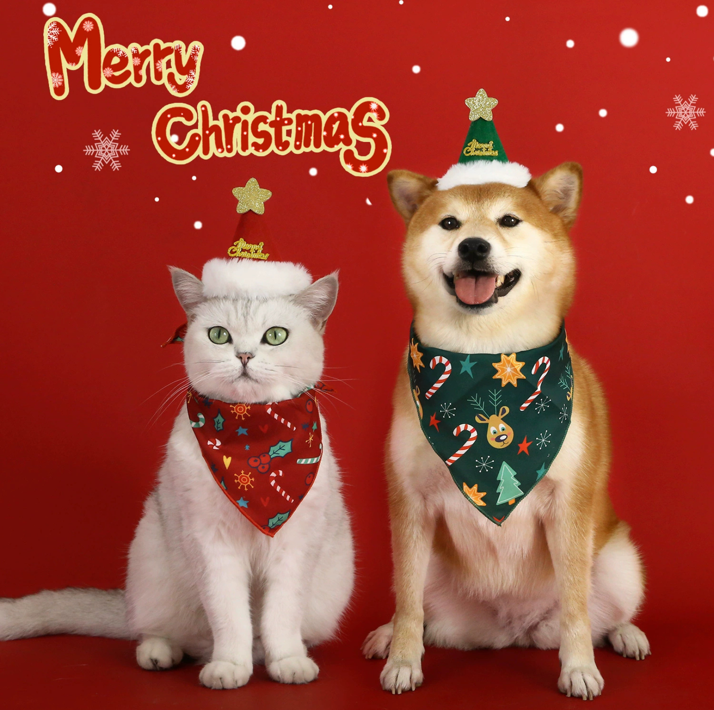 Christmas Pet Bandana and Star Hat Set