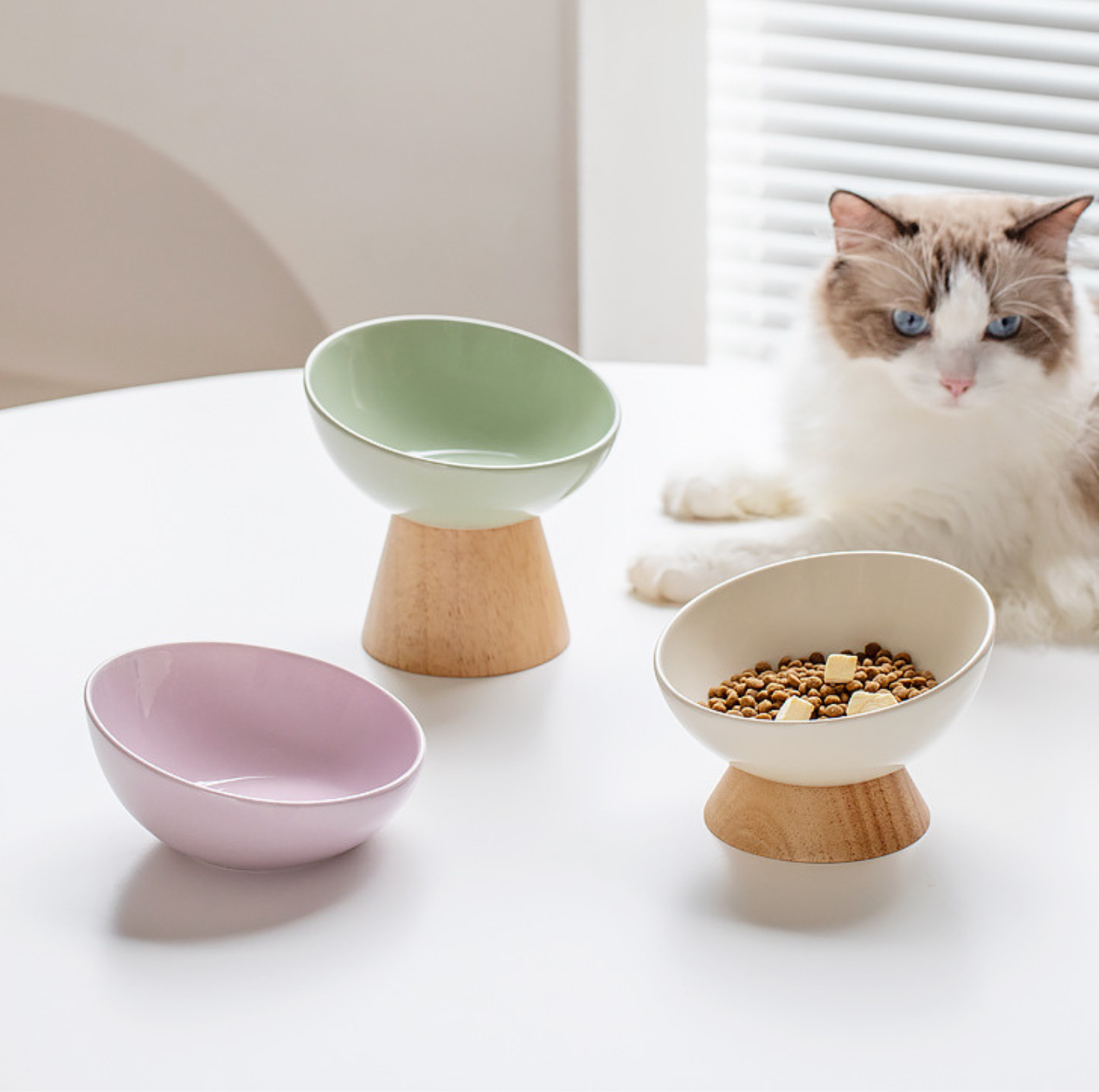 Elevated Round Ceramic Pet Bowl with Oak Base