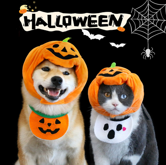 Halloween Pumpkin Hat & Ghost Bib Set for Cats and Dogs