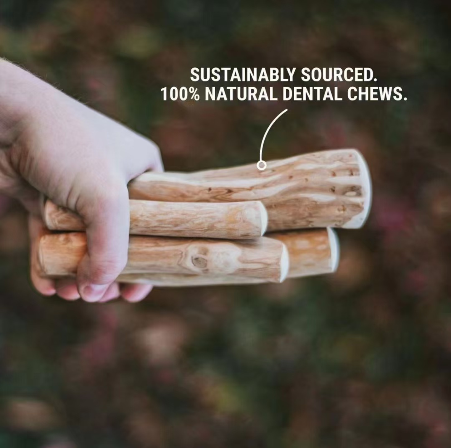 Natural Coffee Wood Dental Chew Stick for Dogs
