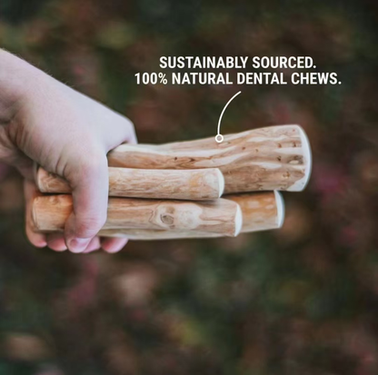 Natural Coffee Wood Dental Chew Stick for Dogs