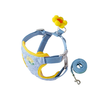 Vibrant Outdoor Pet Harness with Vest-Style Support
