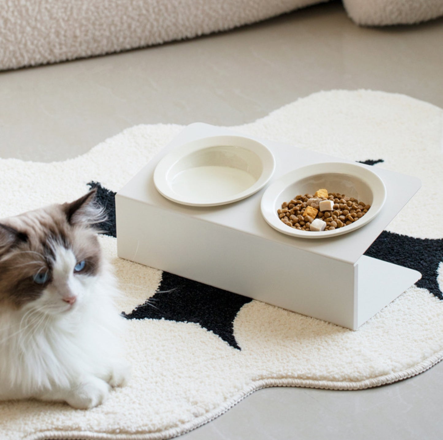 Ceramic Double Pet Bowl with Tilted Iron Stand