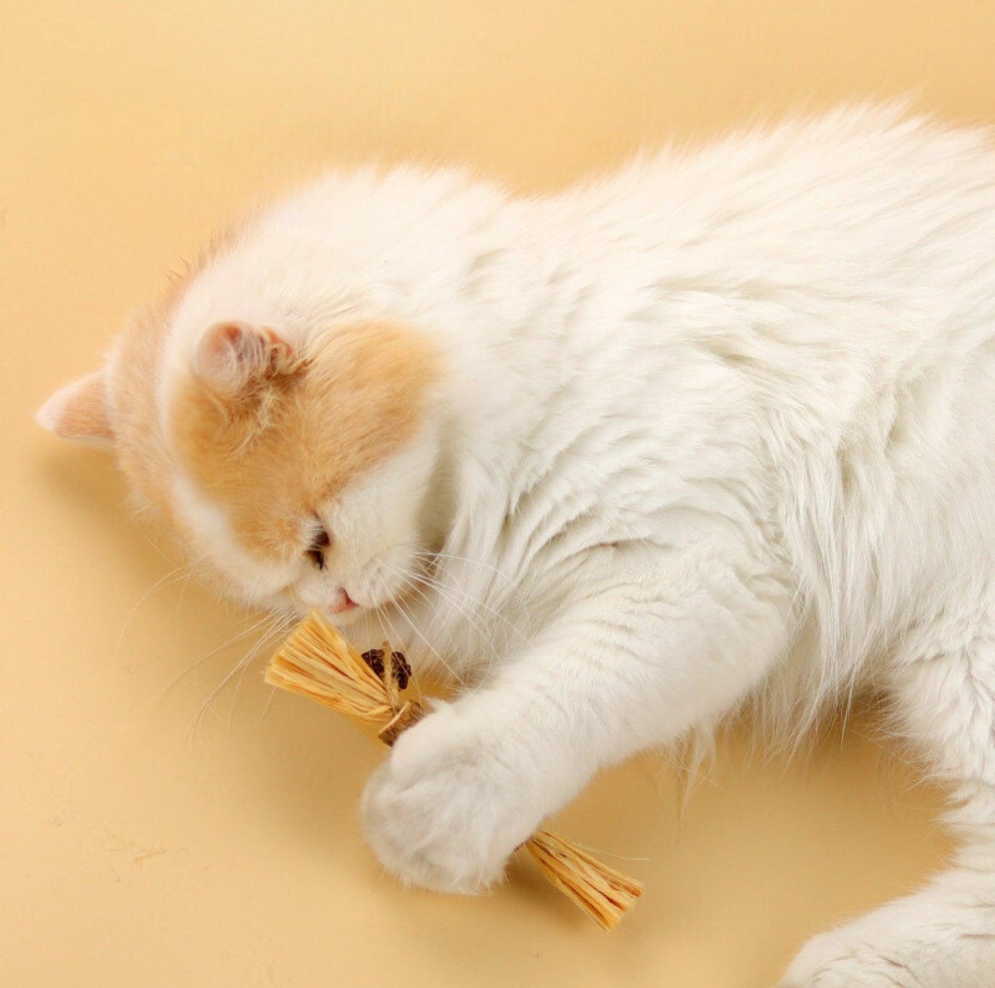 Feathered Catnip Stick Cat Toy - Exciting Playtime with Bell & Raffia Grass