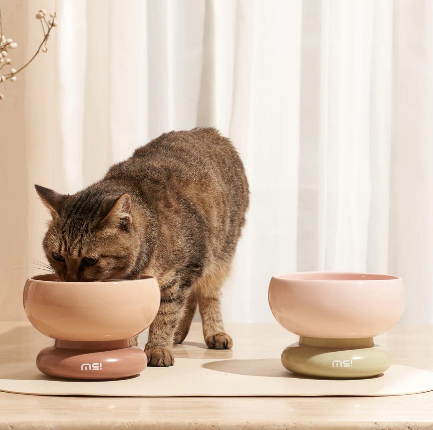 Makesure CALORIE Pet Bowl - Cat and Small Dog Bowl