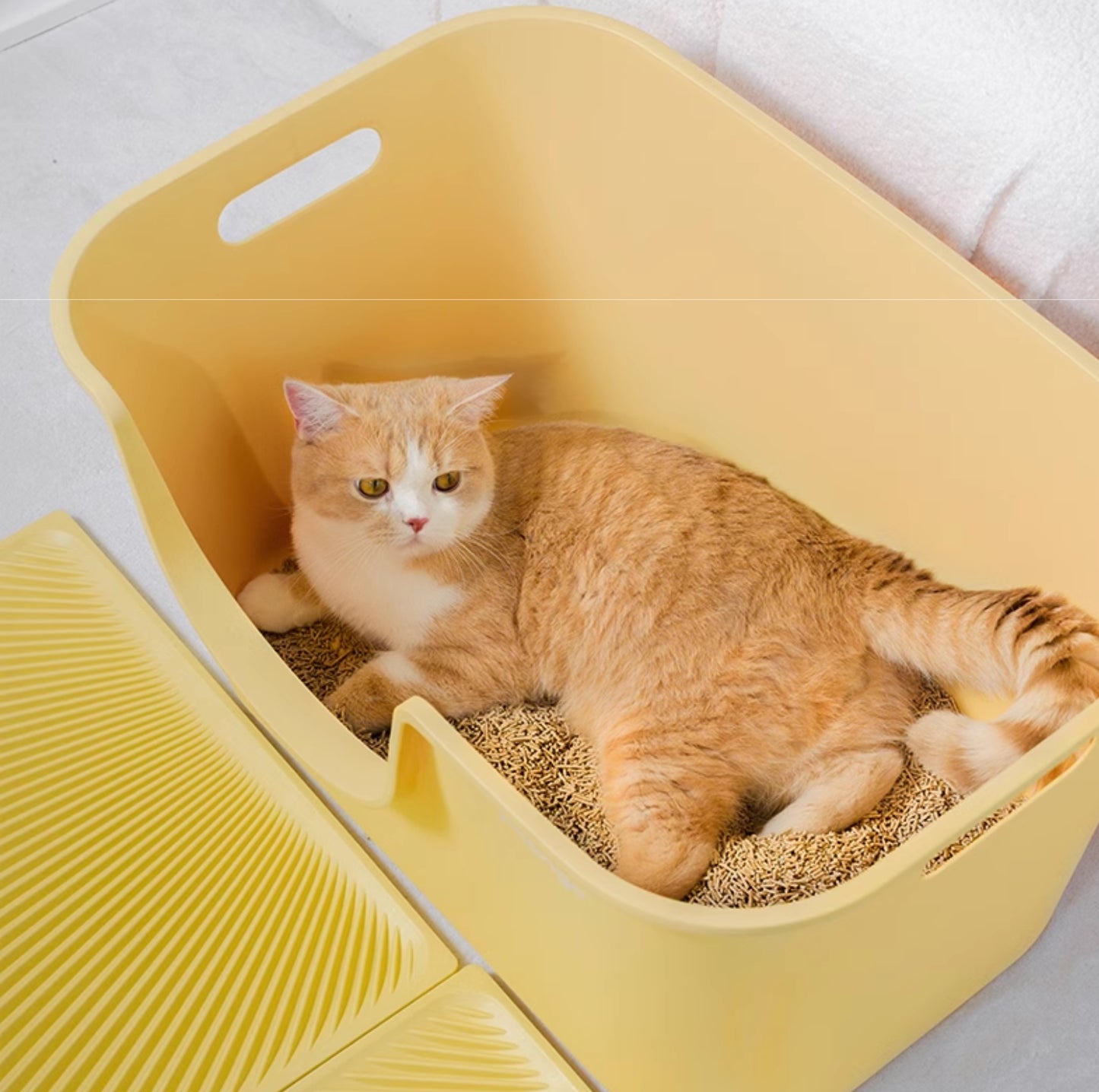 Mango Large High Edge Cat Litter Box - Mess-Free Design for Big Cats (61.5*41.5*33cm)