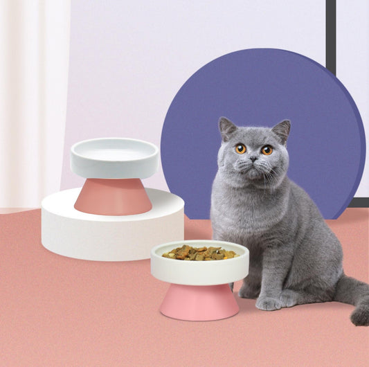 MSBC Premium Elevated Ceramic Cat Bowl Small Dog Bowl