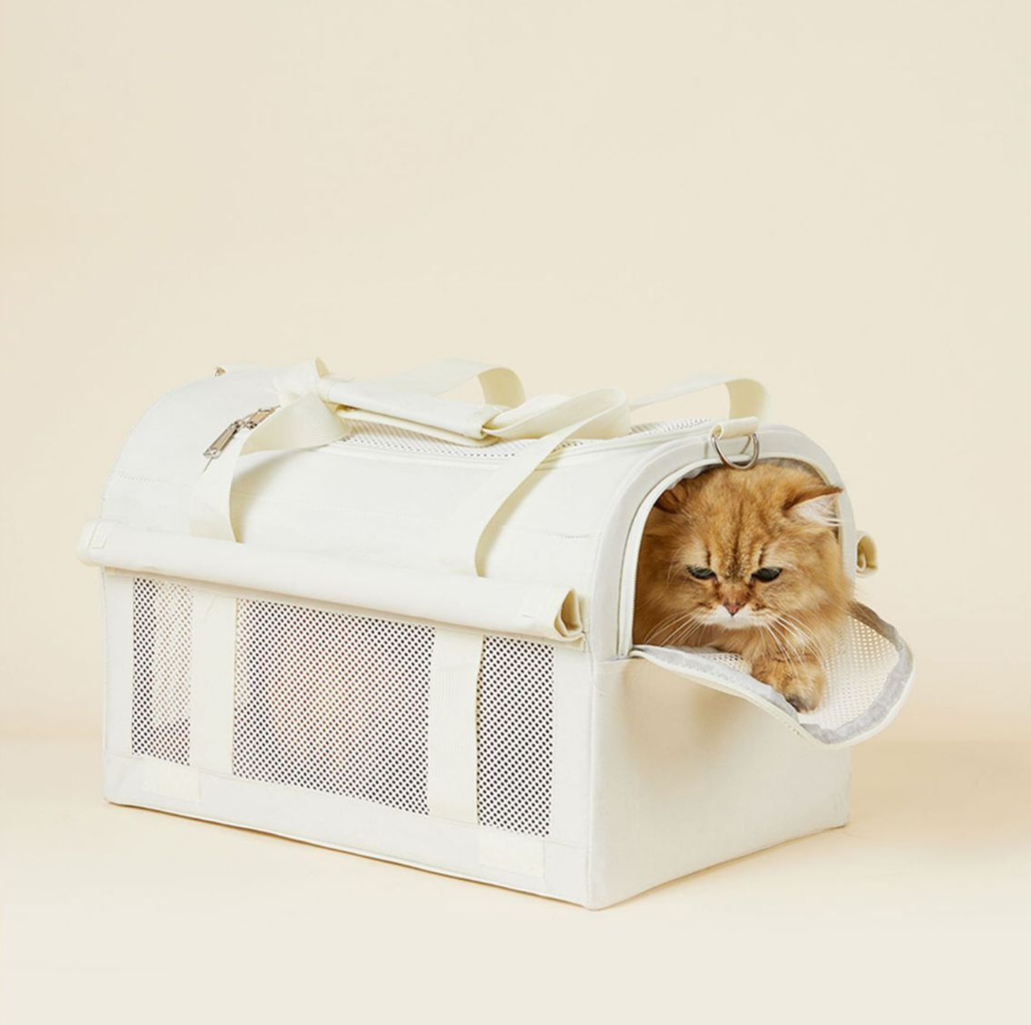 Oxford Dome Pet Travel Carrier with Side Opening for Cats & Small Dogs