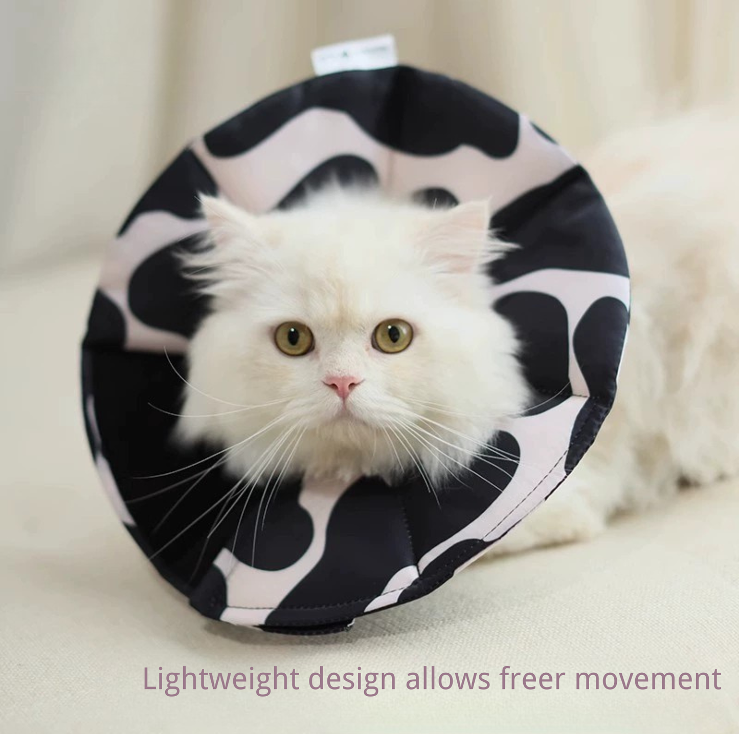 Soft Multi-Use E-Collar for Cats & Small Dogs