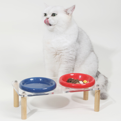 Pop Colour Ceramic Pet Bowl with Elevated Acrylic or Wooden Stand