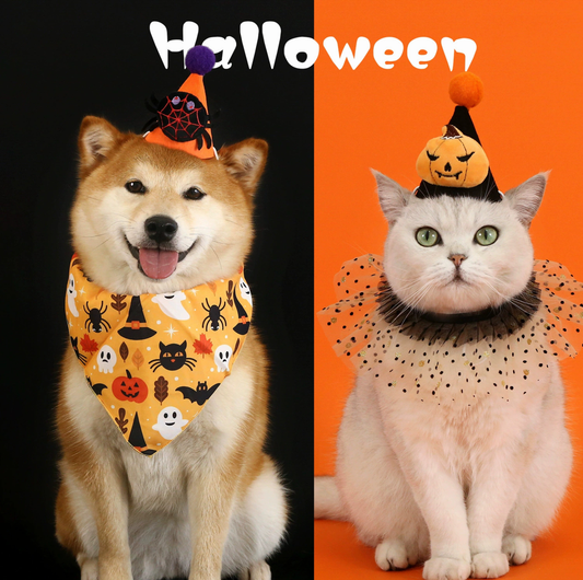 Halloween Pumpkin & Spider Hat for Cats and Dogs
