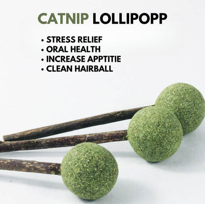 Lollipop Catnip Cat Toys - with Polygonum Vine